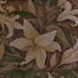 Plants: images 7 0f 9 thumb